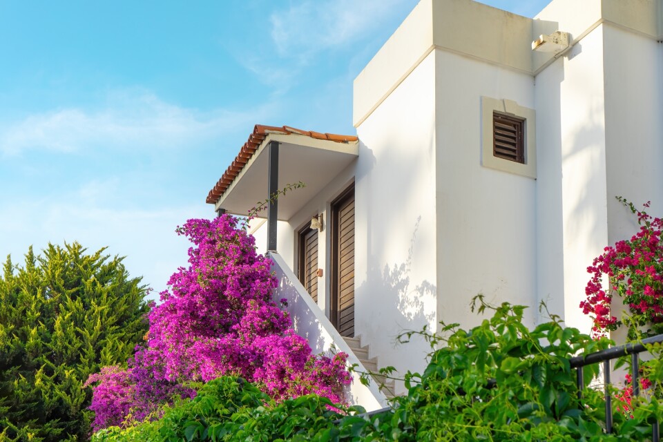 Exterior of a white building with lush flowers 2026 03 19 23 24 55 utc