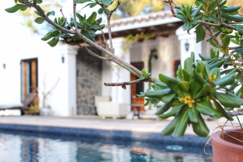 Rustic villa with a pool and green plants in ibiza 2026 03 13 01 56 51 utc