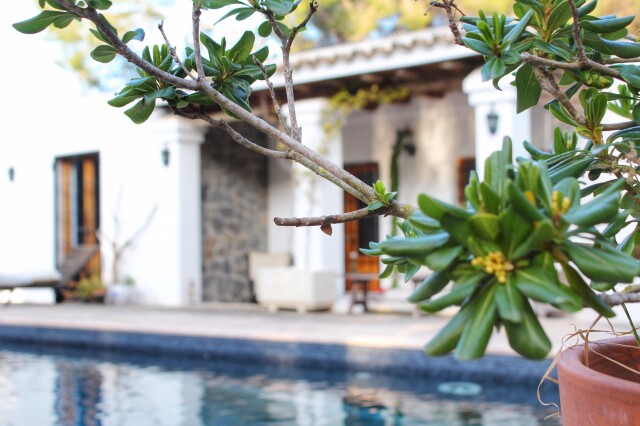 Rustic villa with a pool and green plants in ibiza 2026 03 13 01 56 51 utc