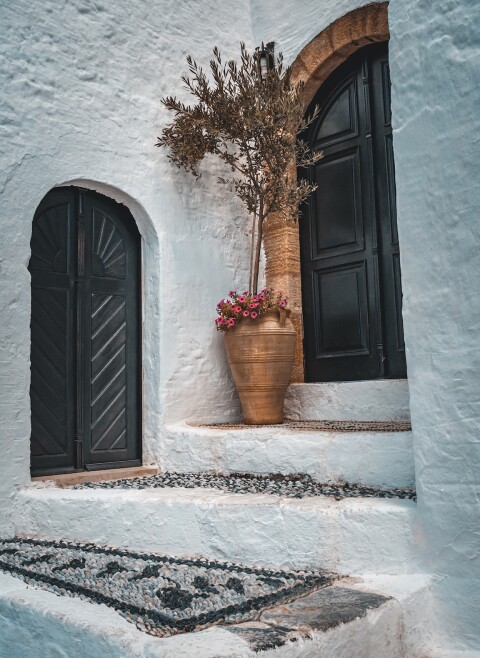 Whitewashed building with flowers in the city 2026 01 08 06 32 00 utc